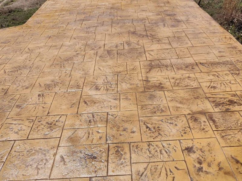 WhatsApp Image 2024-10-11 at 10.51.36 (1)