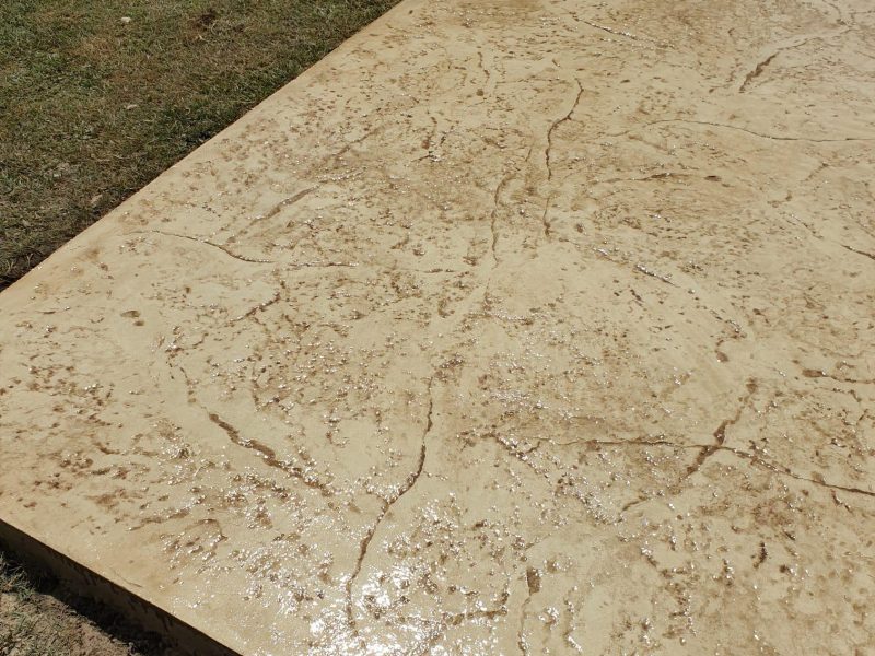 WhatsApp Image 2024-10-11 at 10.51.40 (3)