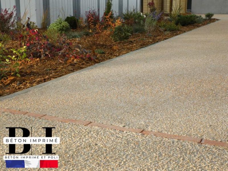 WhatsApp Image 2024-11-05 at 08.41.19